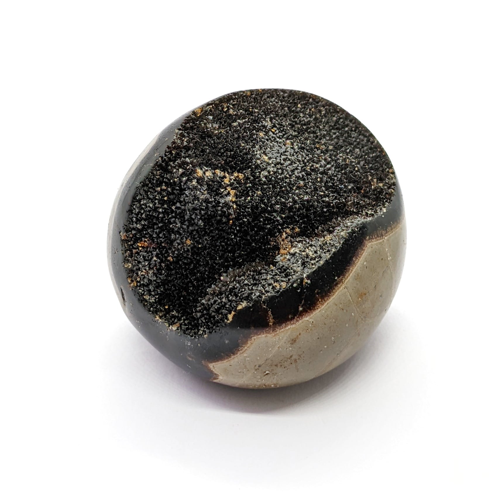 galet septaria sauvage