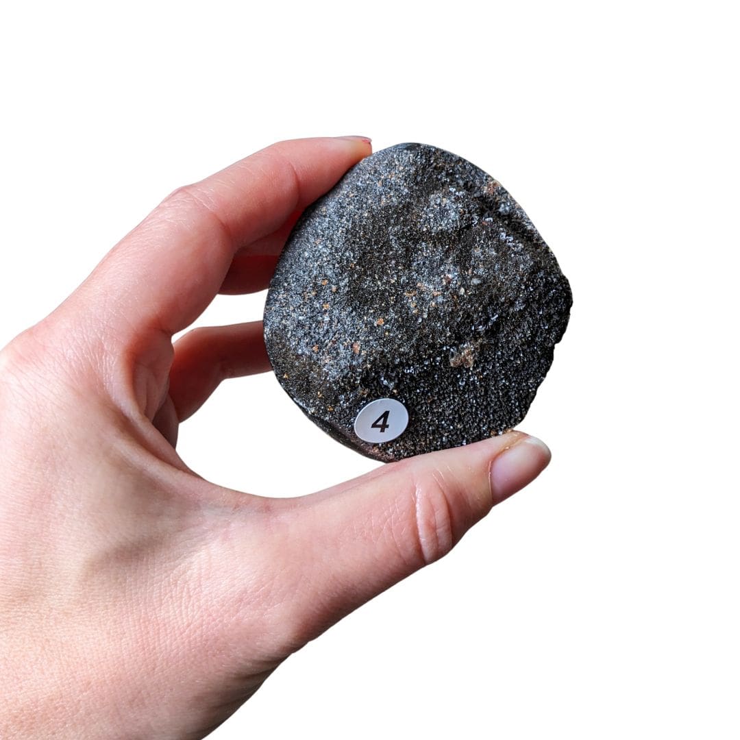 Galet Septaria Sauvage