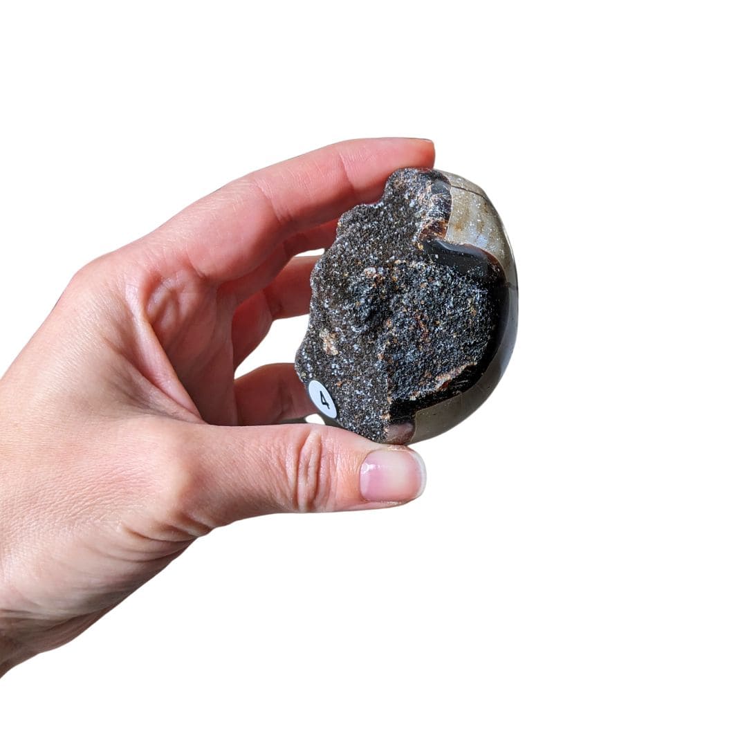 Galet Septaria Sauvage