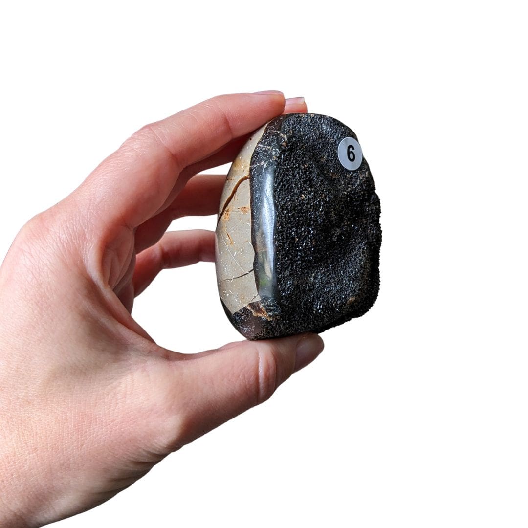 Galet Septaria Sauvage