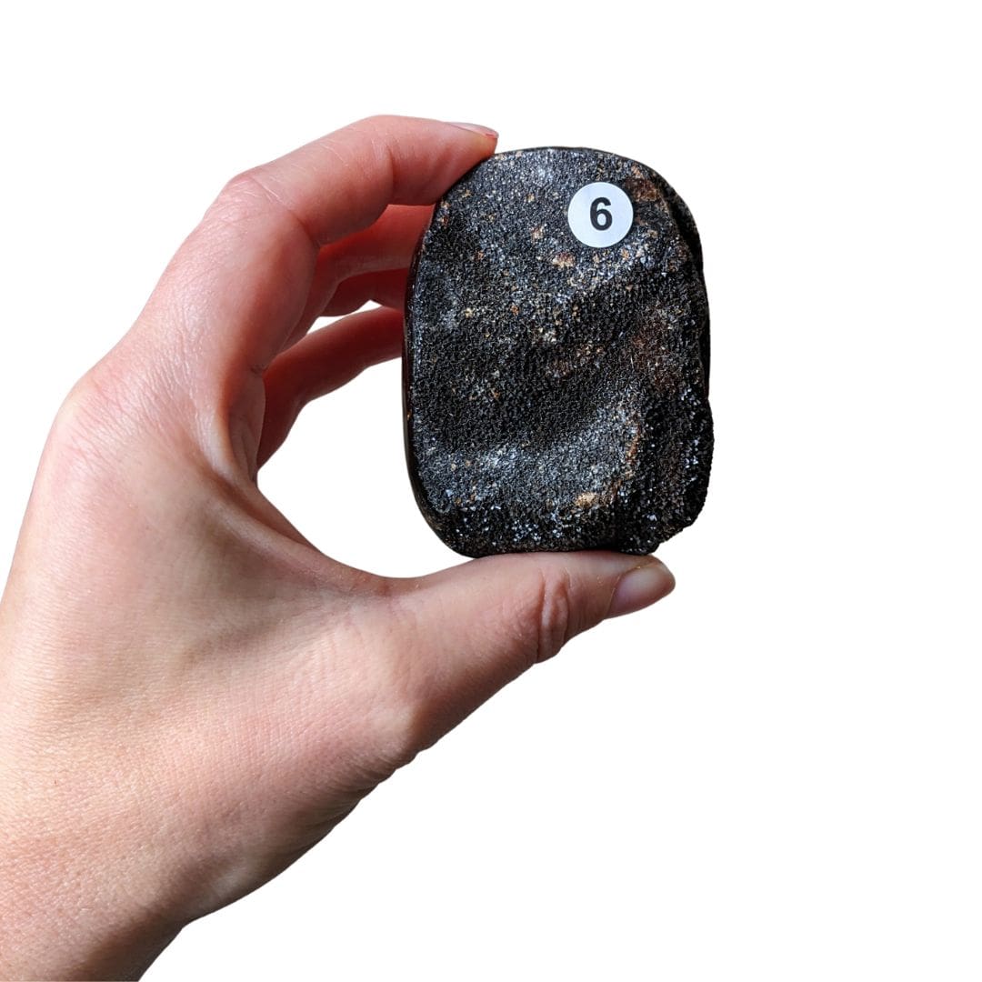 Galet Septaria Sauvage