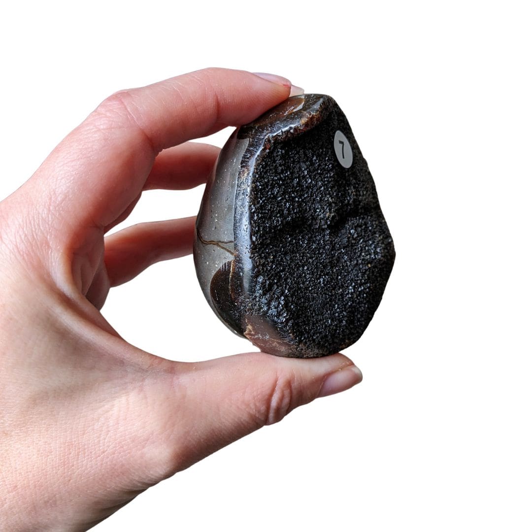 Galet Septaria Sauvage