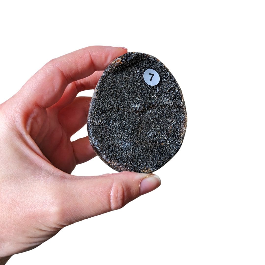 Galet Septaria Sauvage