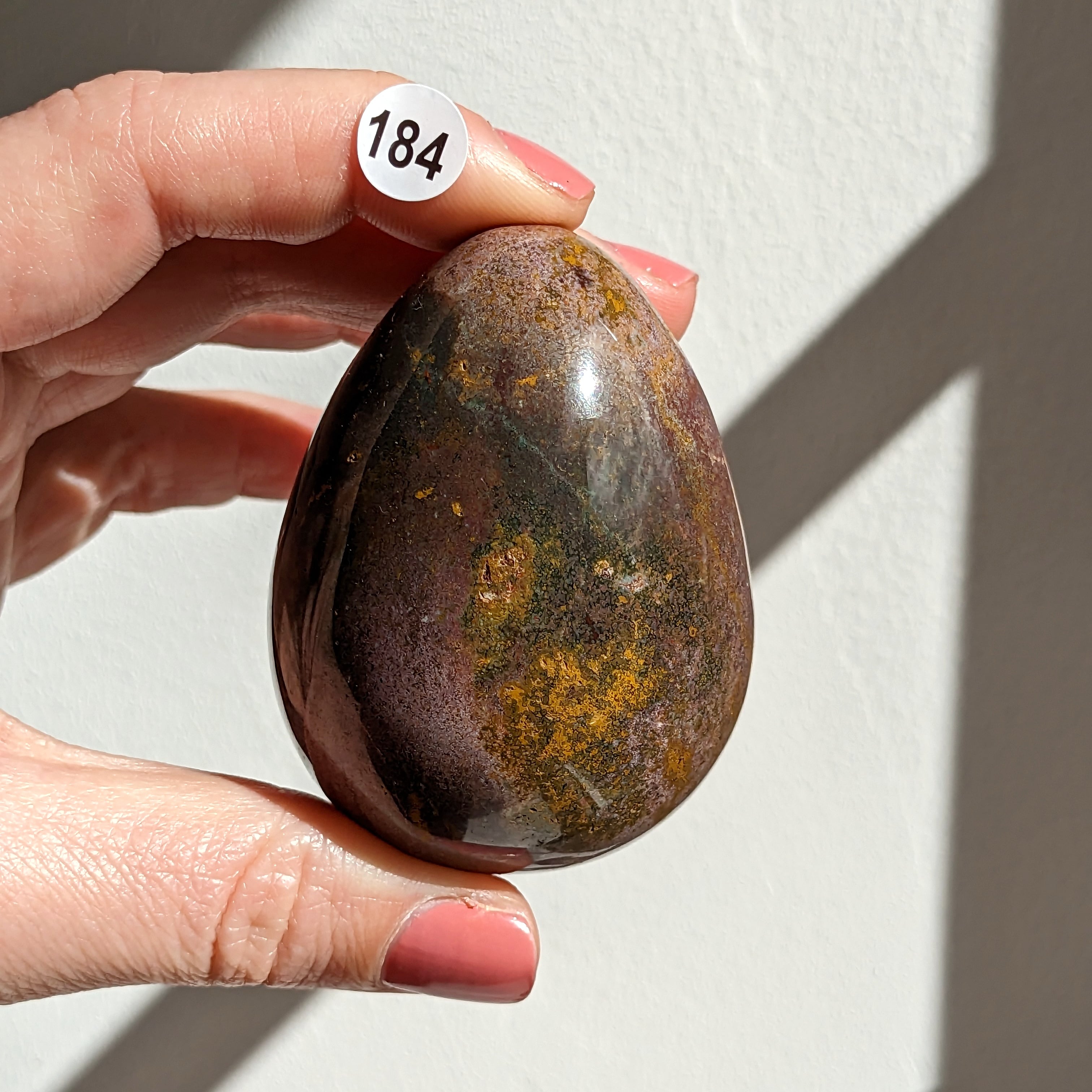 oeuf jaspe orbiculaire 184