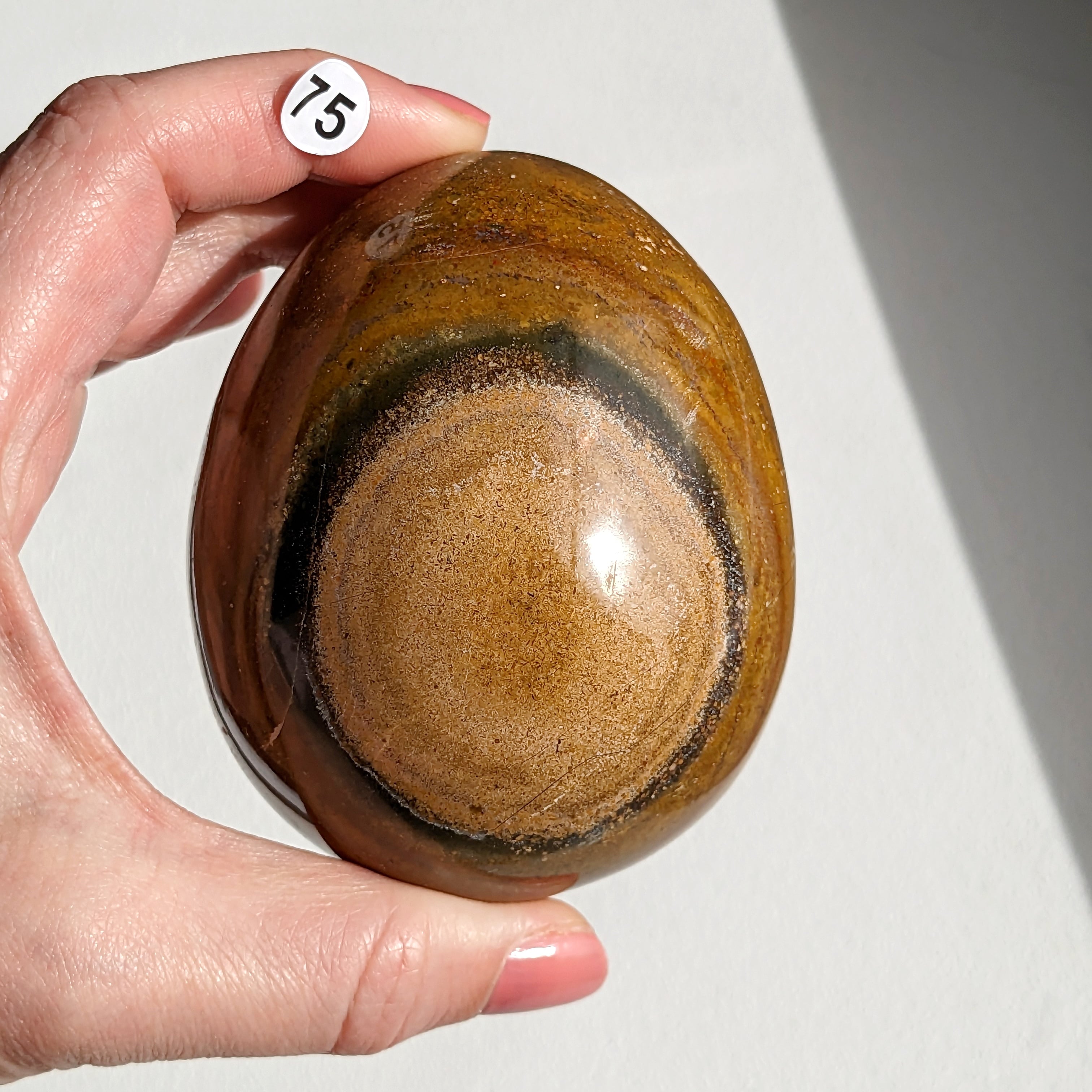 Oeuf Jaspe orbiculaire