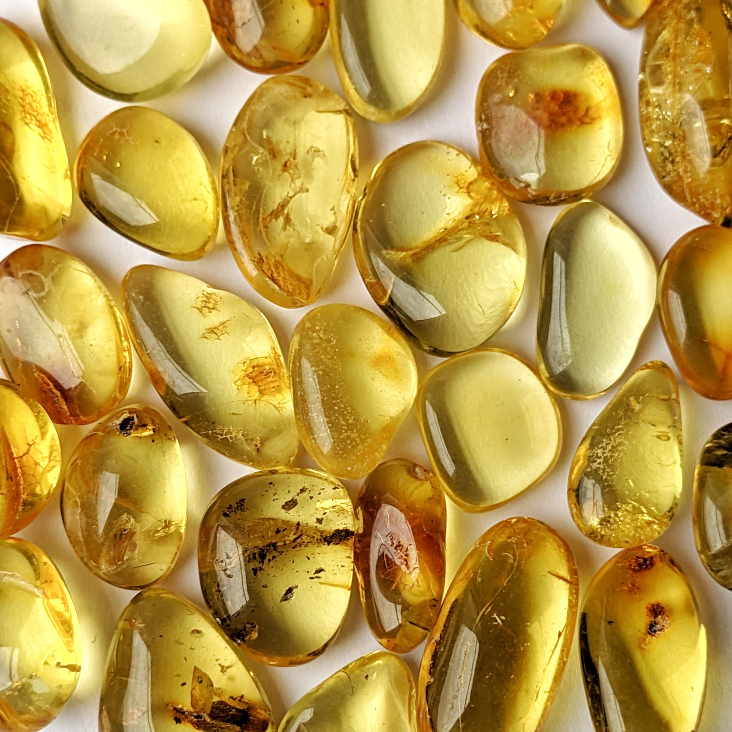 pierre ambre baltique