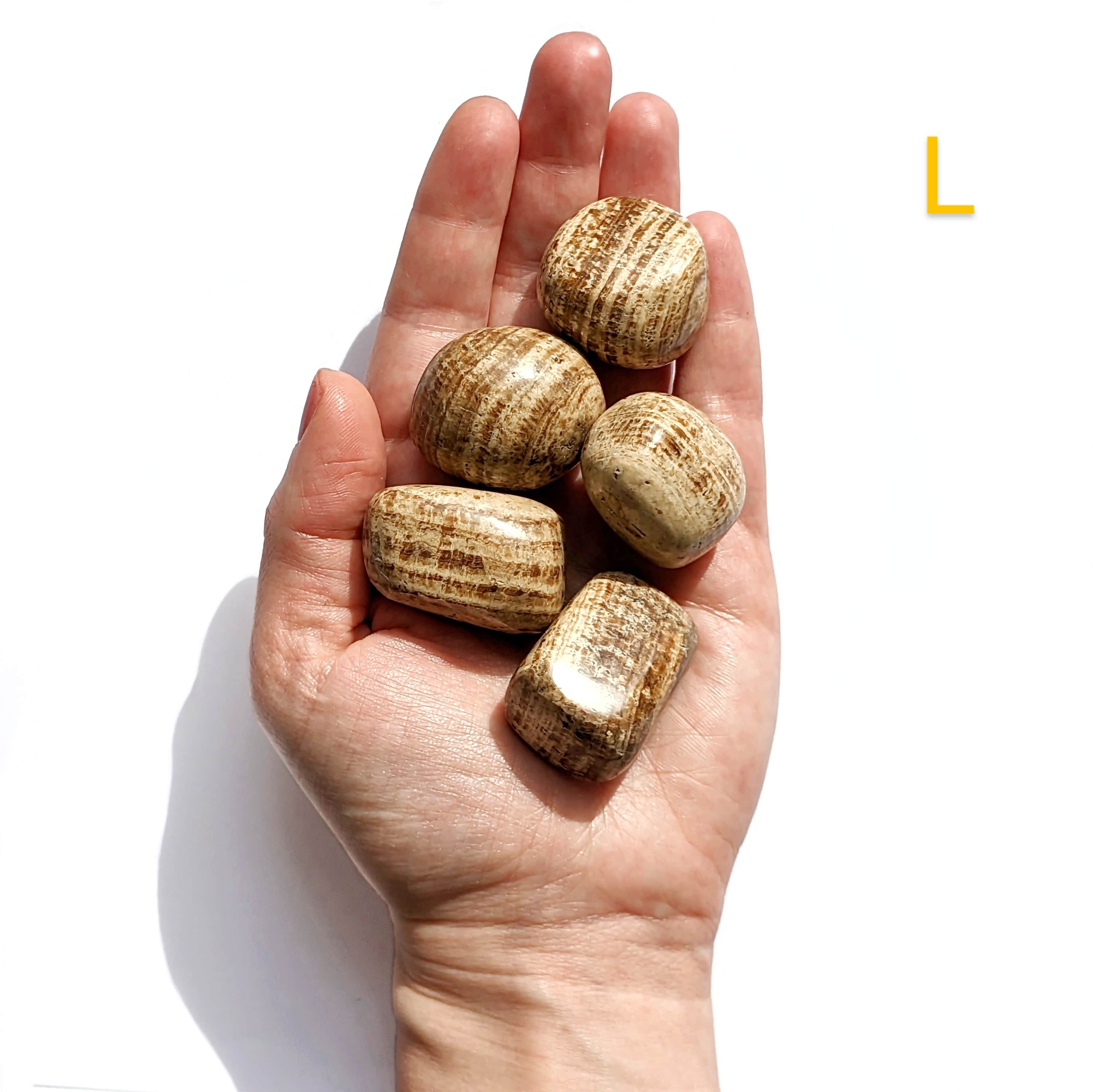 Pierre Roulée Aragonite – Stabilité et Équilibre Émotionnel