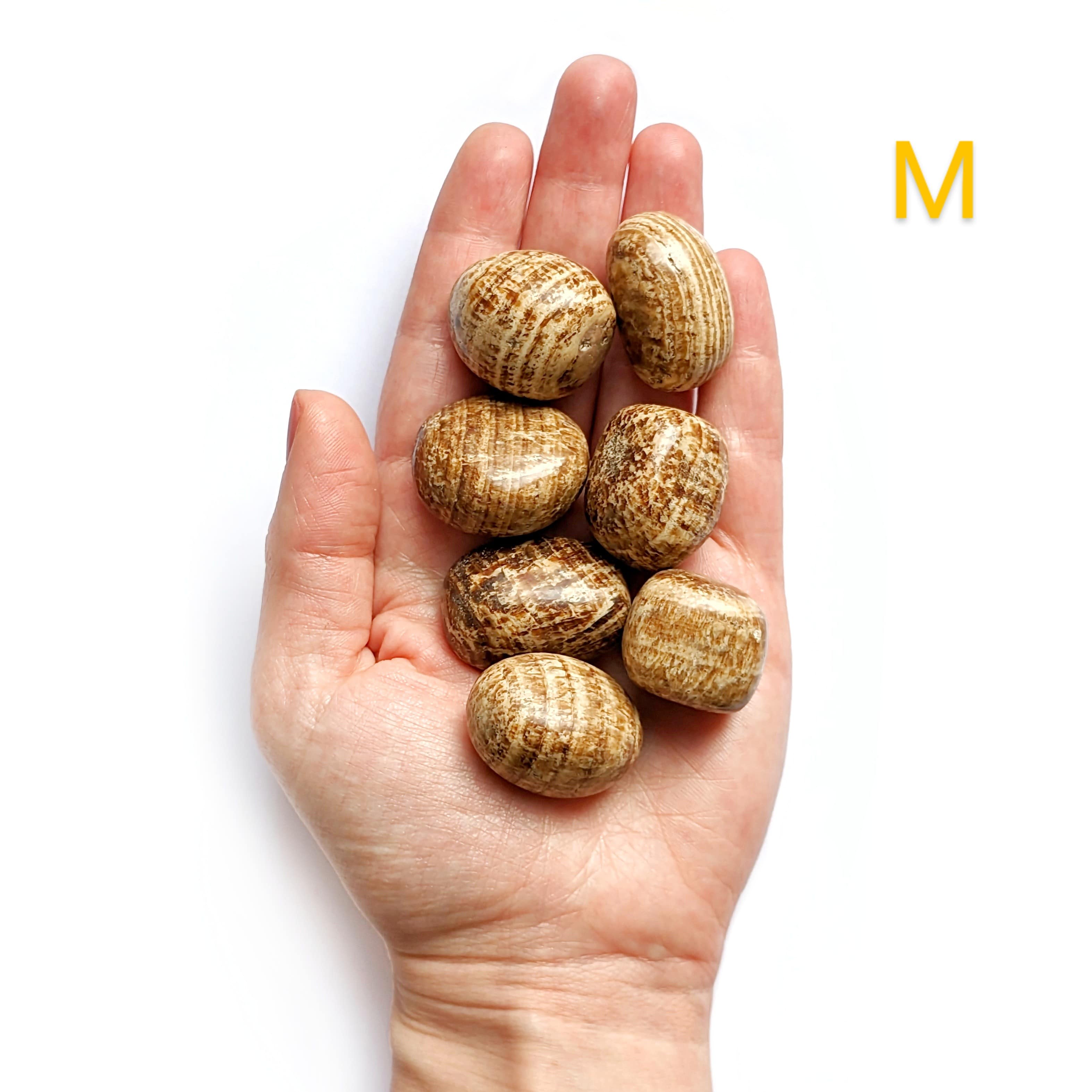 Pierre Roulée Aragonite – Stabilité et Équilibre Émotionnel