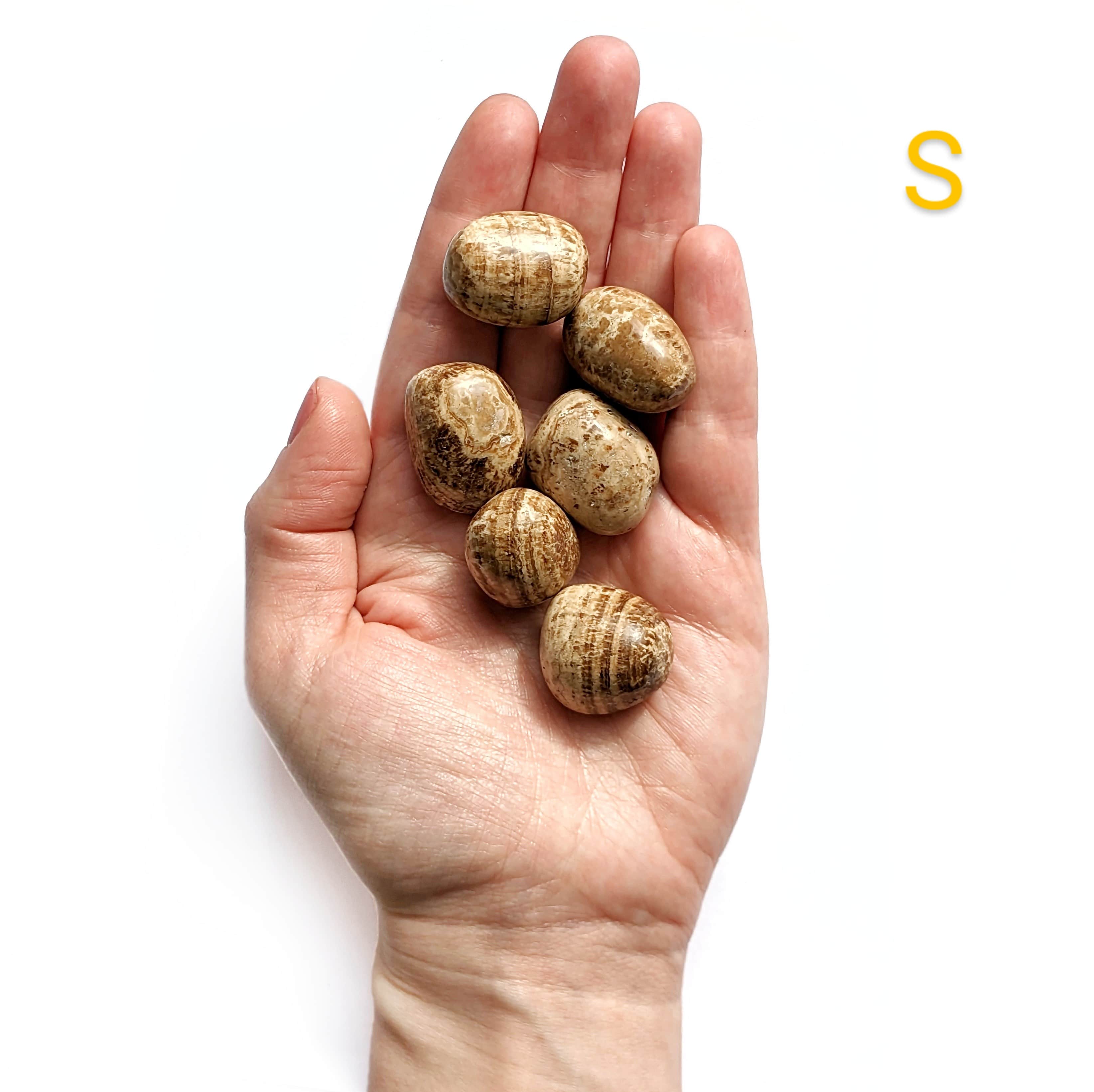 Pierre Roulée Aragonite – Stabilité et Équilibre Émotionnel