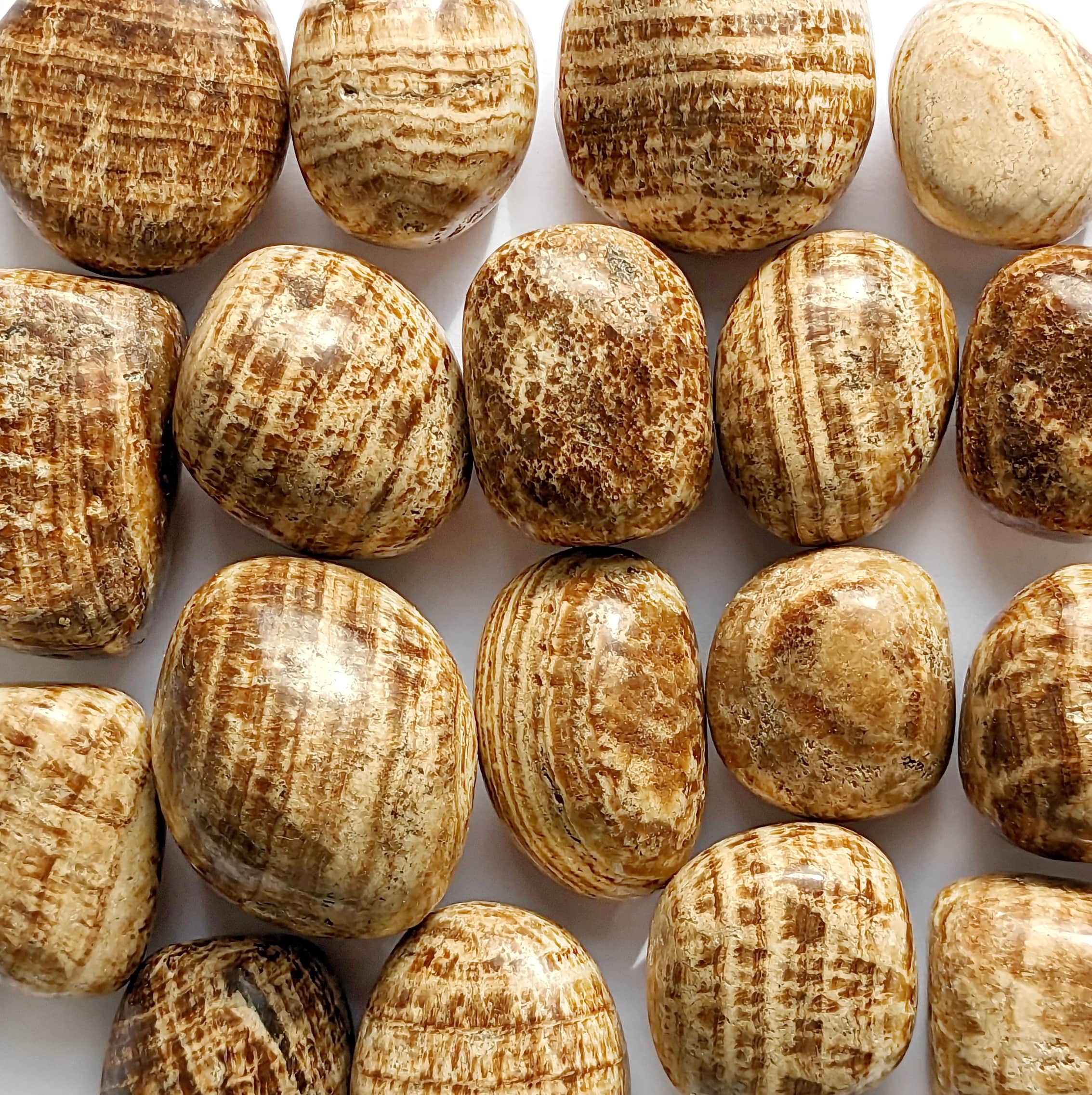 Pierre Roulée Aragonite – Stabilité et Équilibre Émotionnel