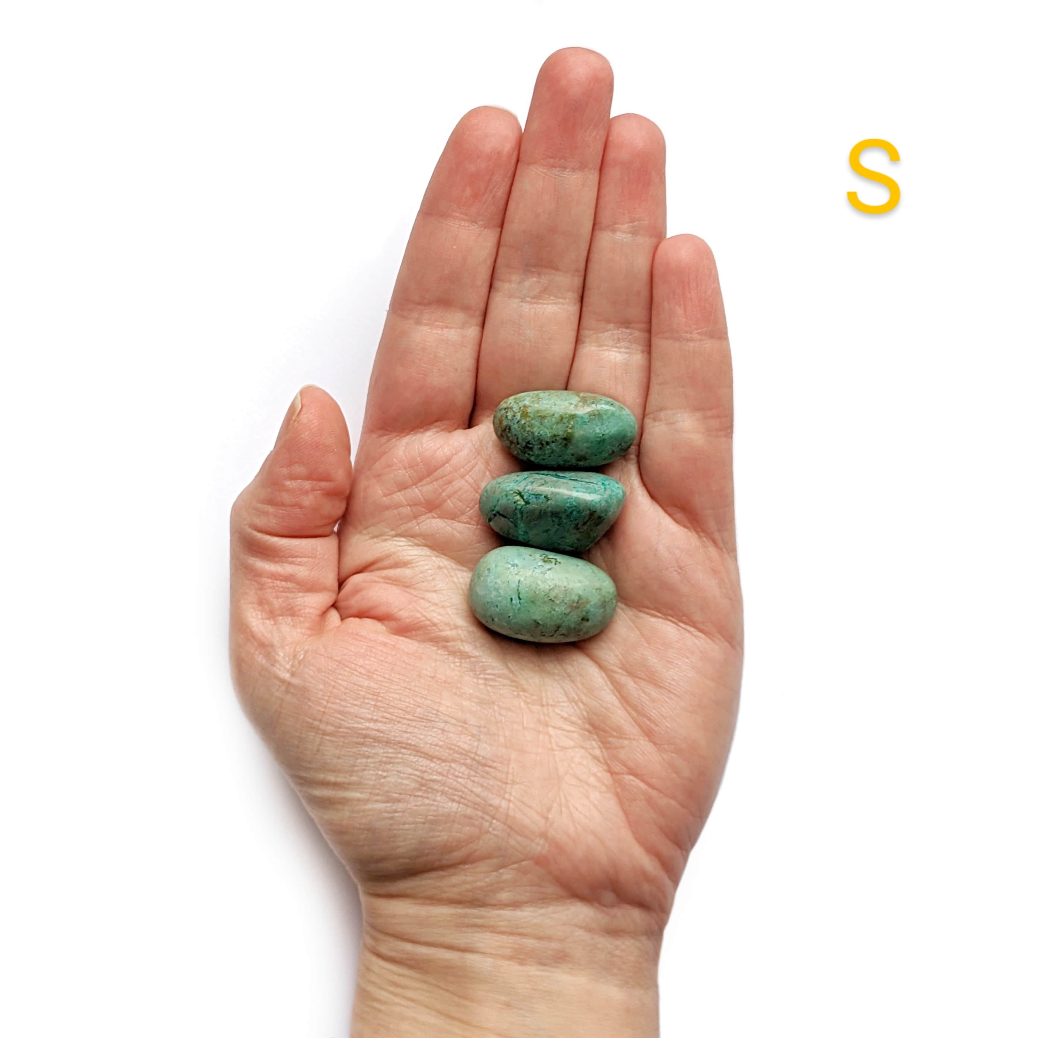 pierre chrysocolle petite taille