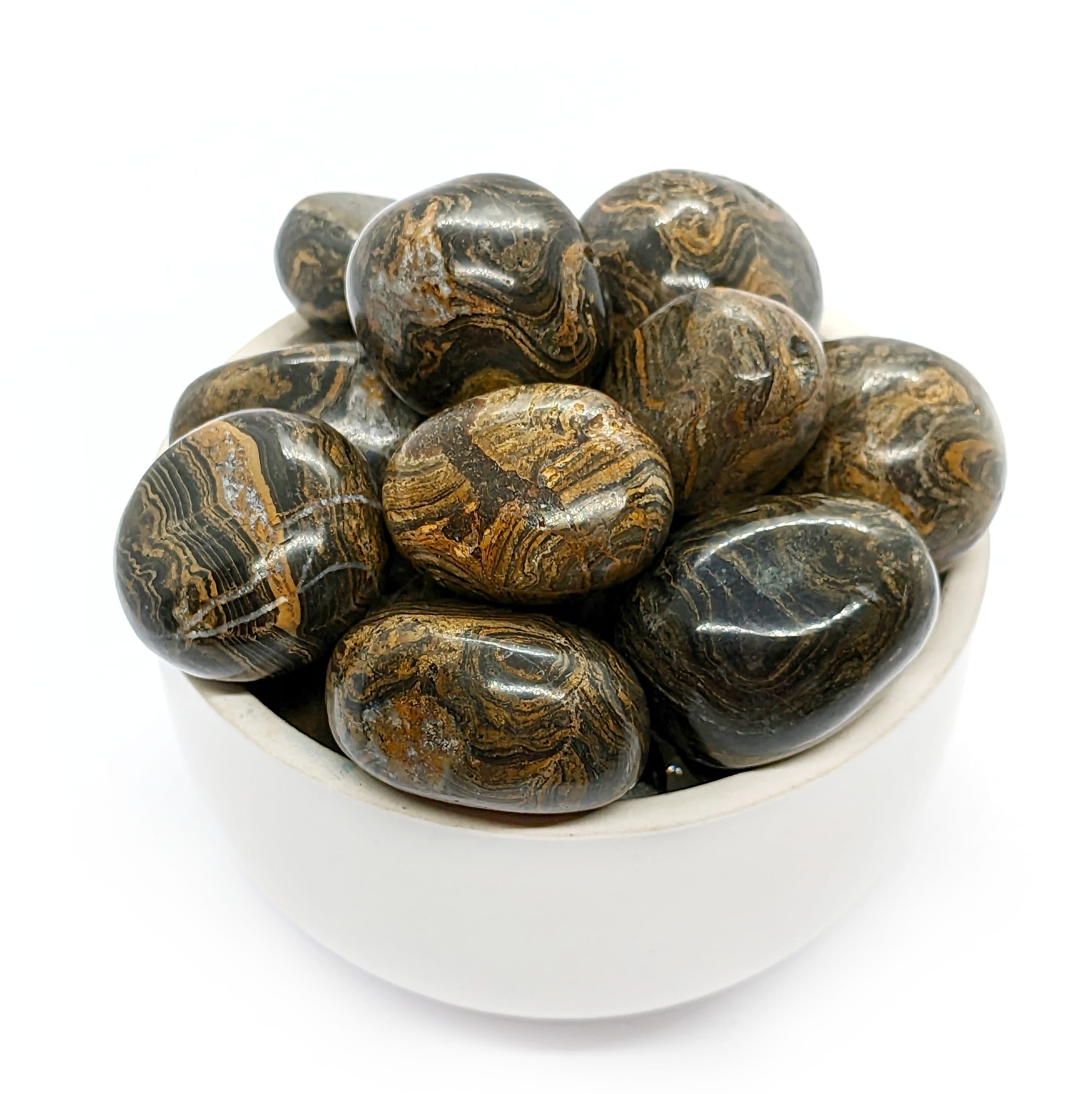 stromatolite