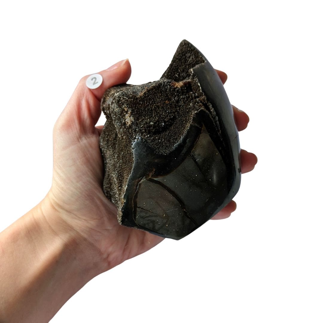 oeuf en pierre septaria sauvage