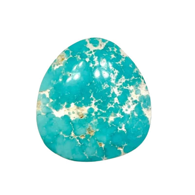 Turquoise fox