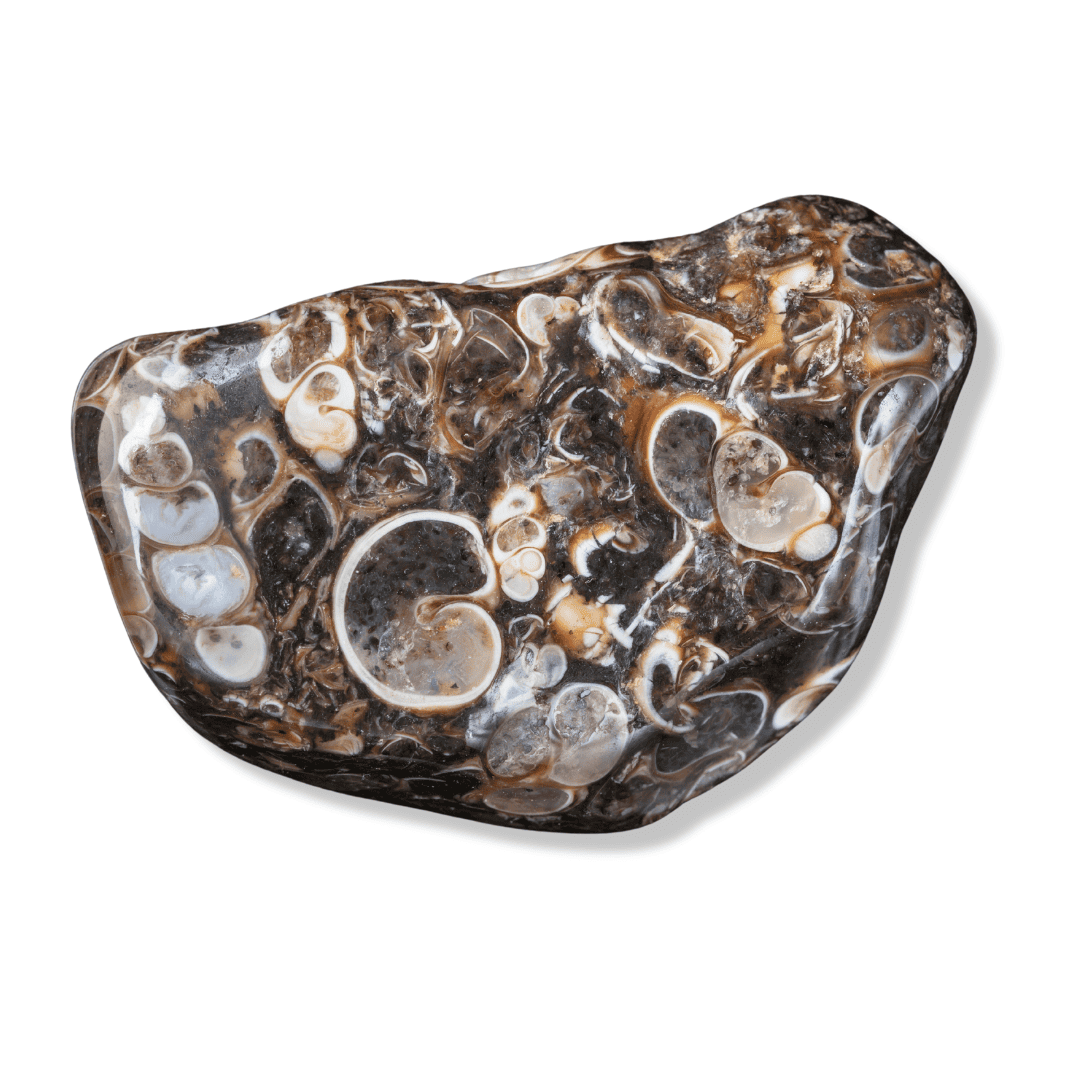 Agate turitelle - Vertus et Propriétés en lithothérapie