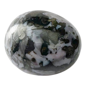 Purification et rechargement Gabbro