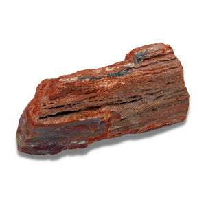Purification et rechargement Bois fossilisé