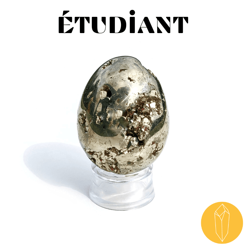 Pierre de l'étudiant