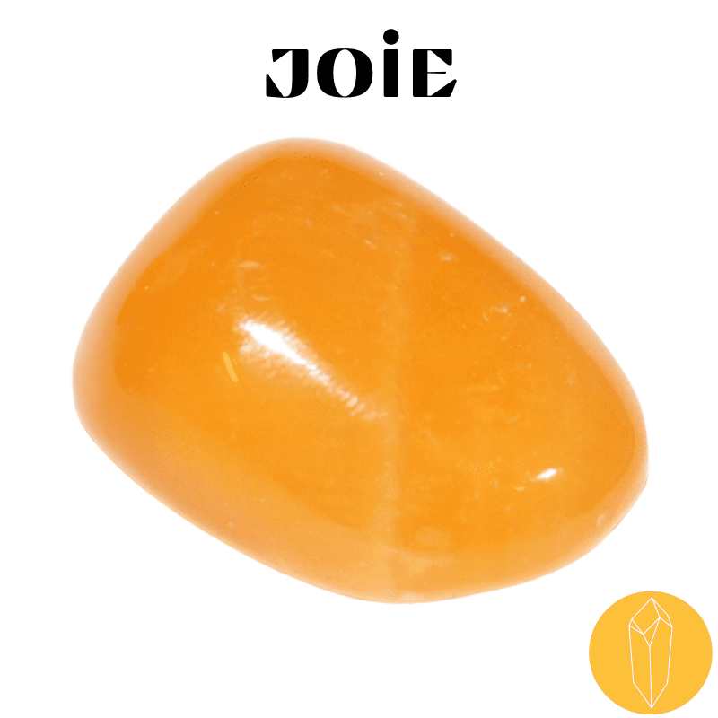 pierre joie de vivre