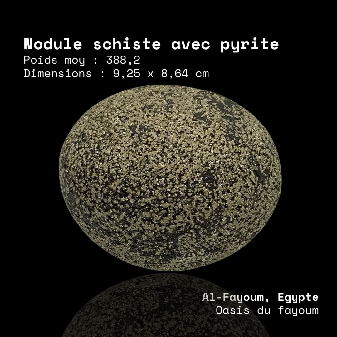 Nodule de Schiste et Pyrite - Égypte