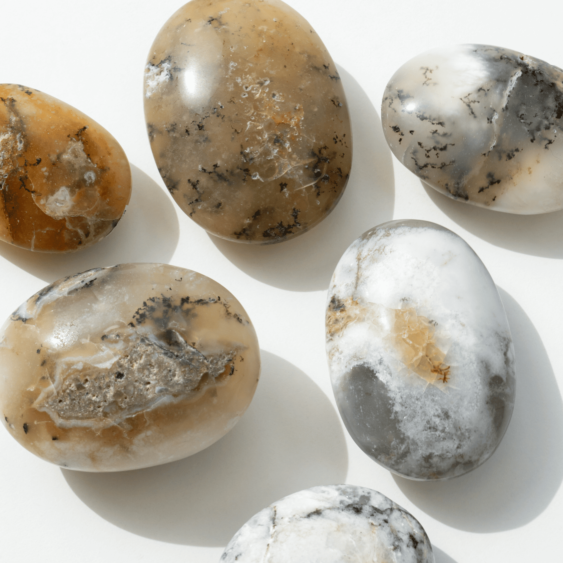 Agate Dendritique zoom