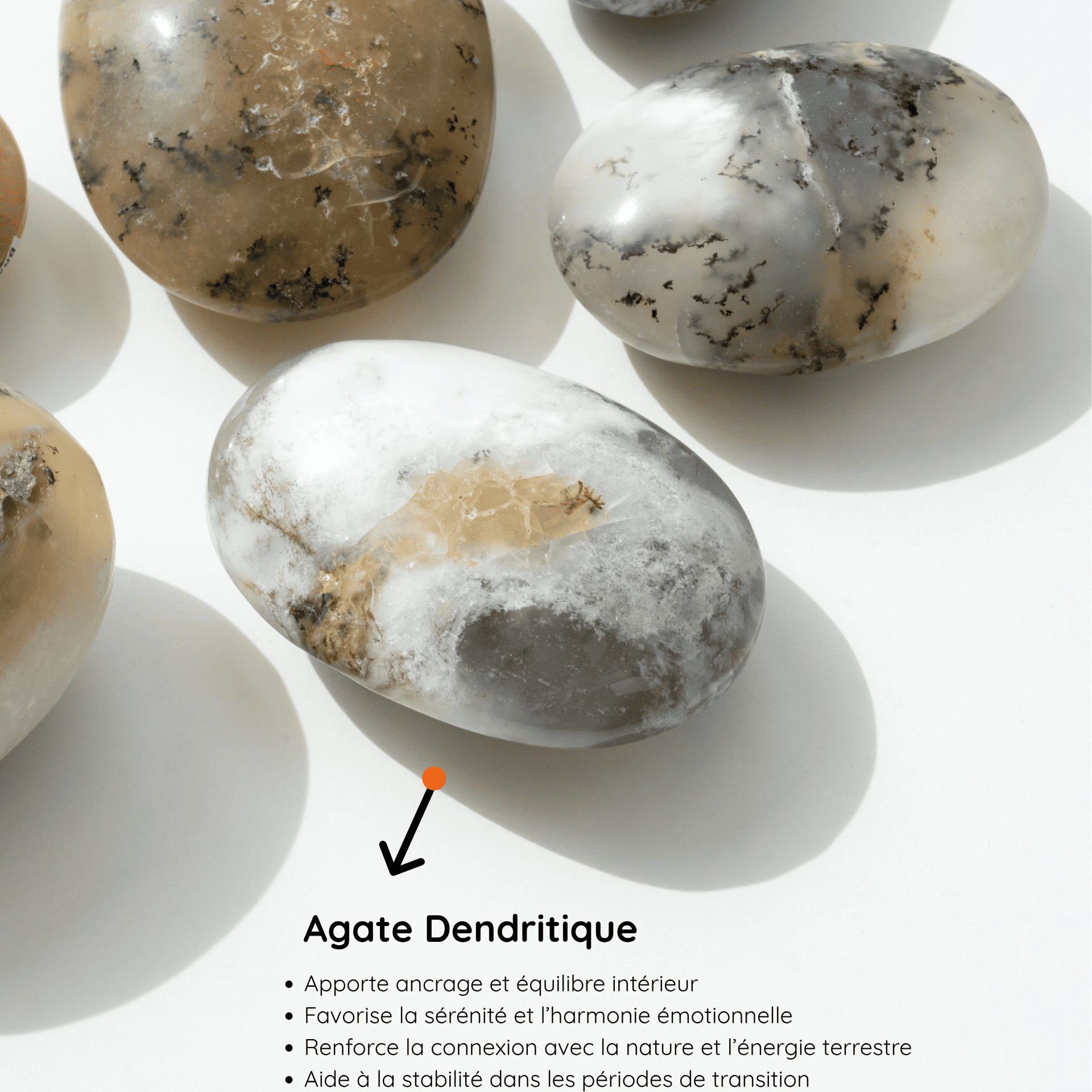Agate Dendritique vertus