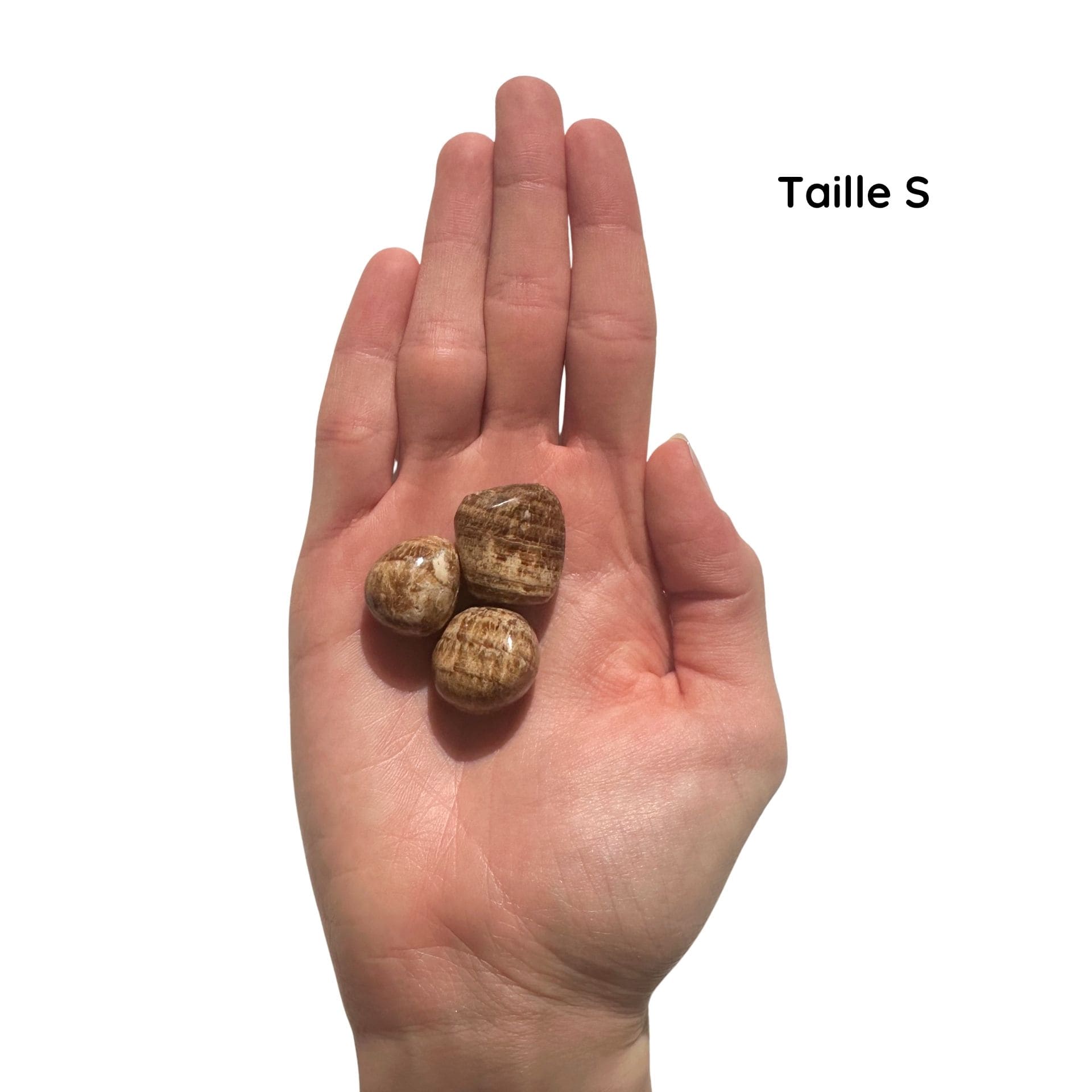 Aragonite S