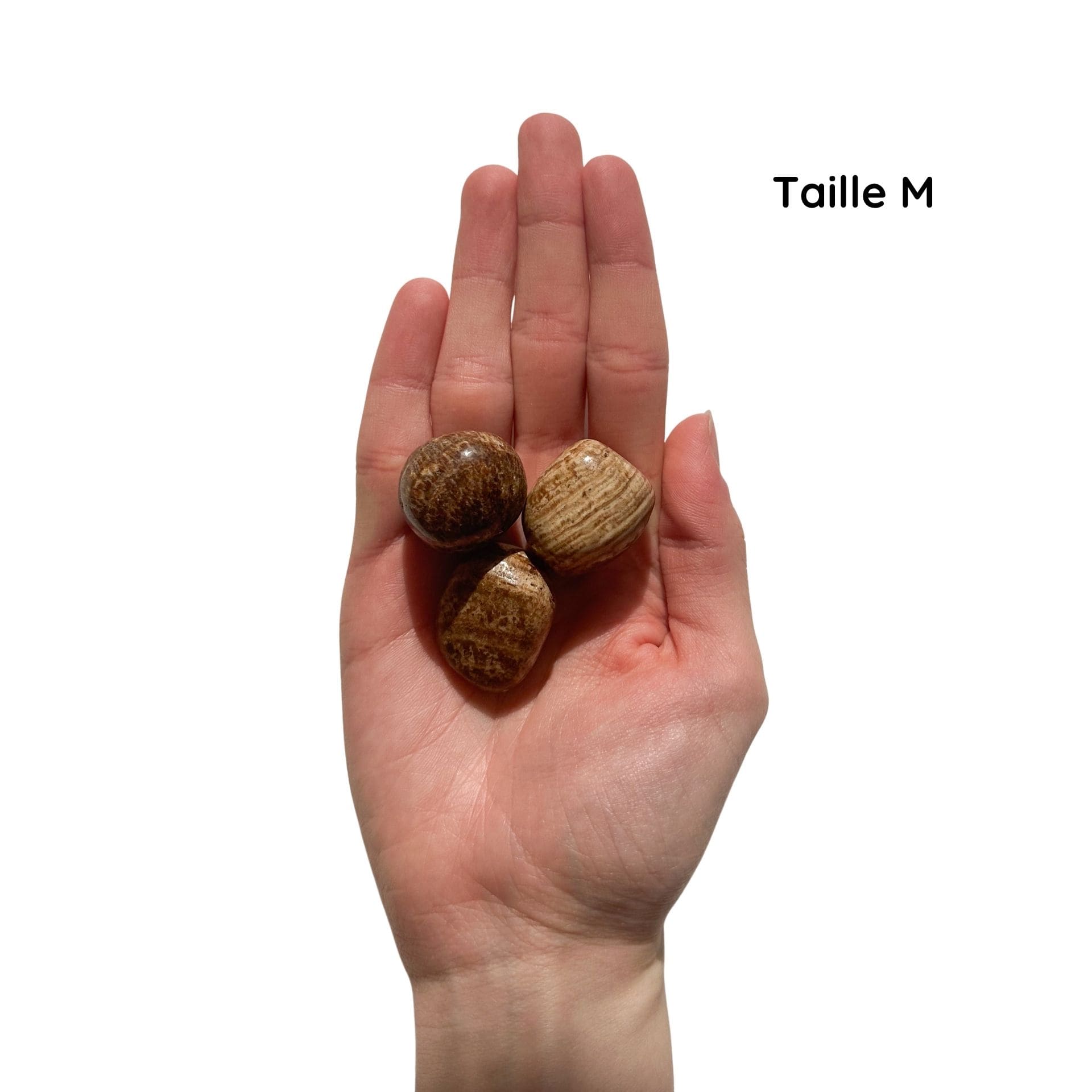 Aragonite M
