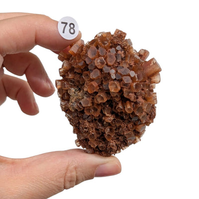 Aragonite Naturelle – Stabilité et Ancrage