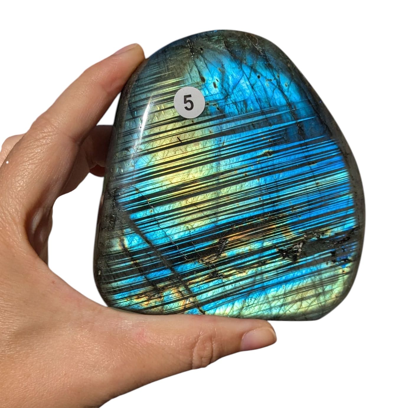 Forme libre de labradorite