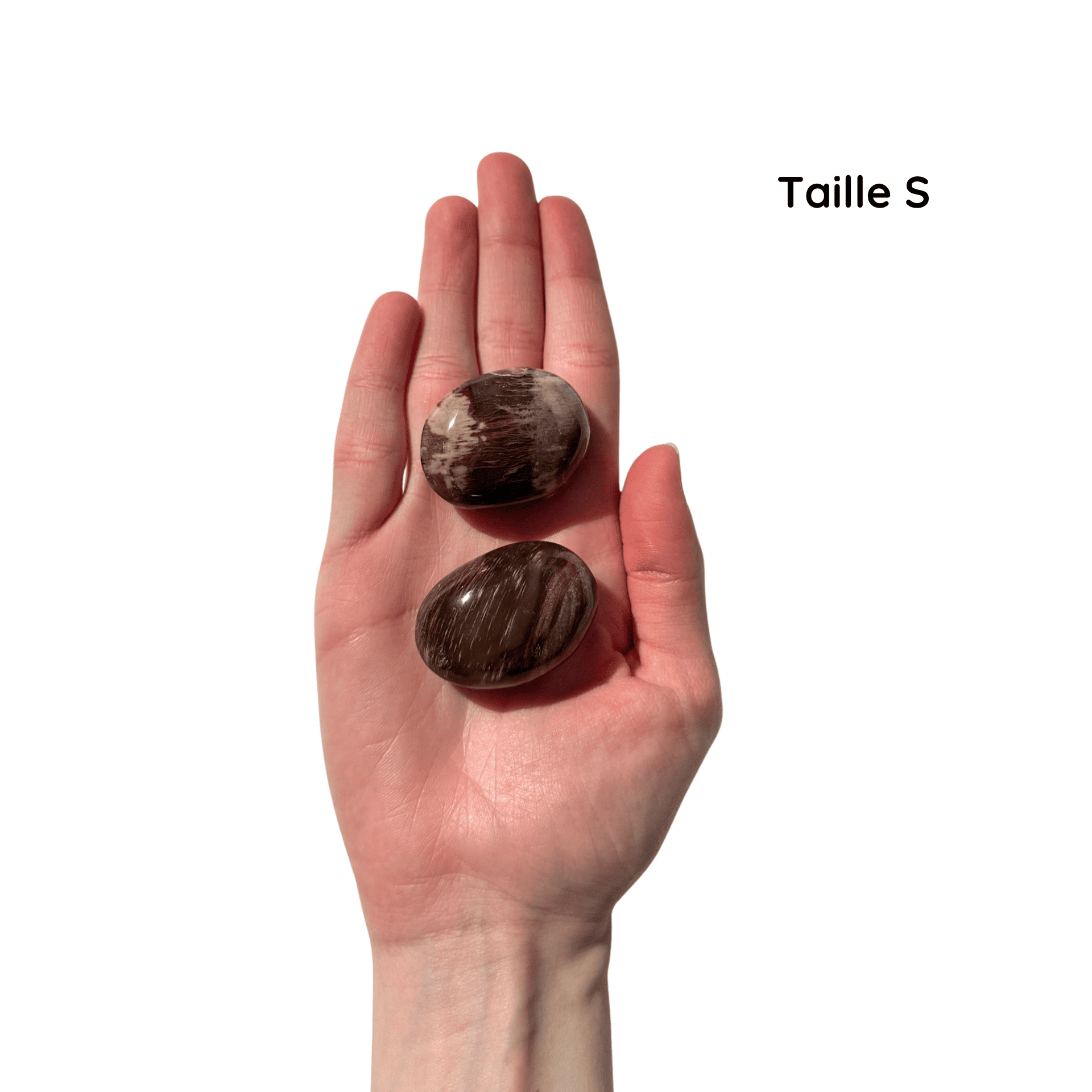 Galet Bois Fossile S