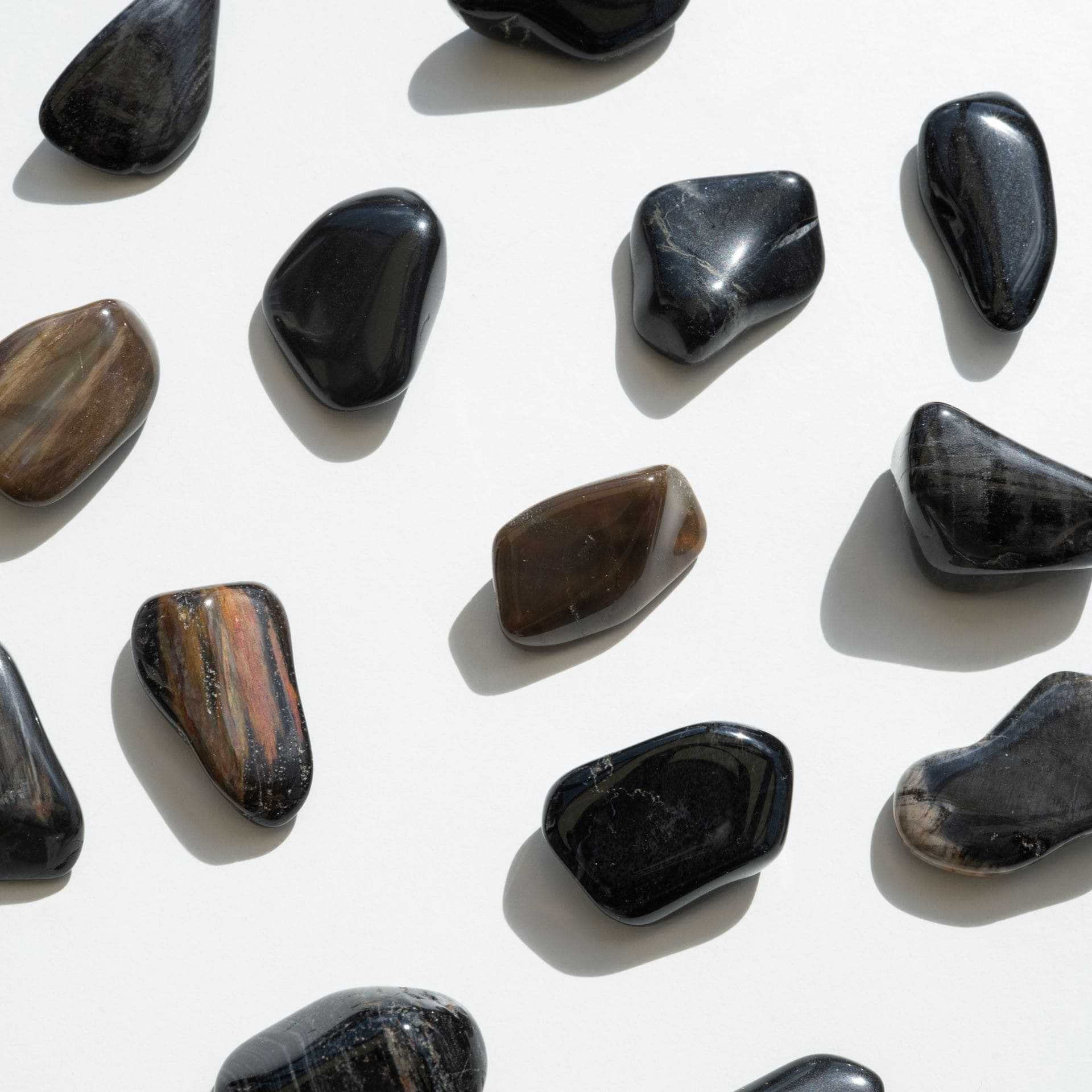 Bois fossile gris de haut