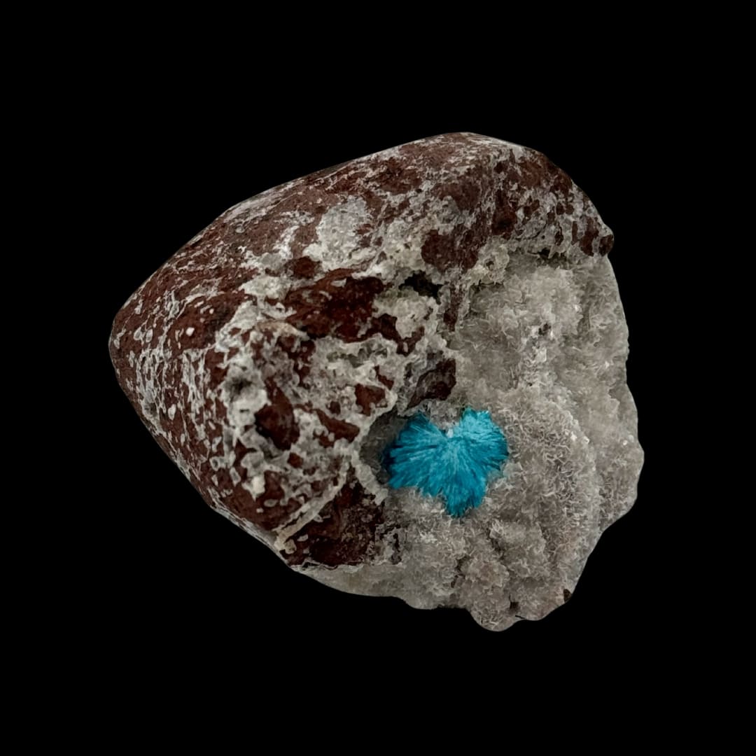 Cavansite Bleue sur Matrice (Inde) - Pompon Cristallisé