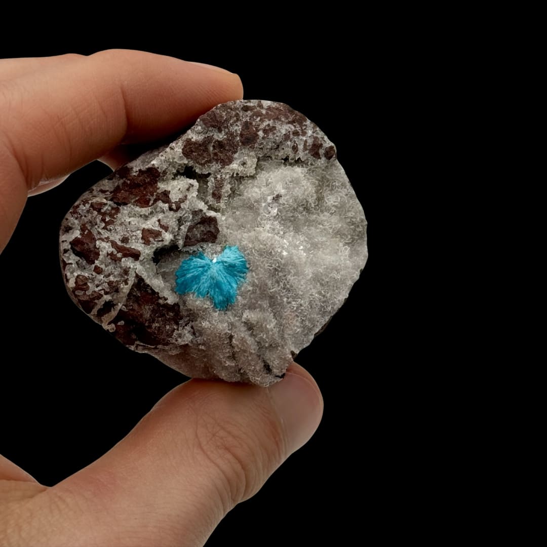Cavansite Bleue sur Matrice (Inde) - Pompon Cristallisé
