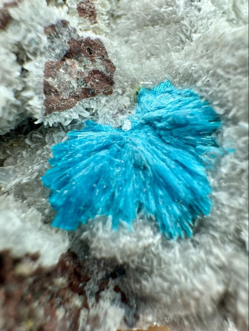 Cavansite Bleue sur Matrice (Inde) - Pompon Cristallisé