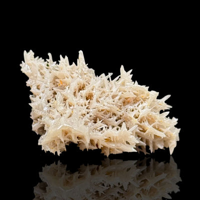 Cérussite Cristallisée et Wulfénite - Mine de Nakhlak  #29