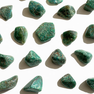 Chrysocolle zoom