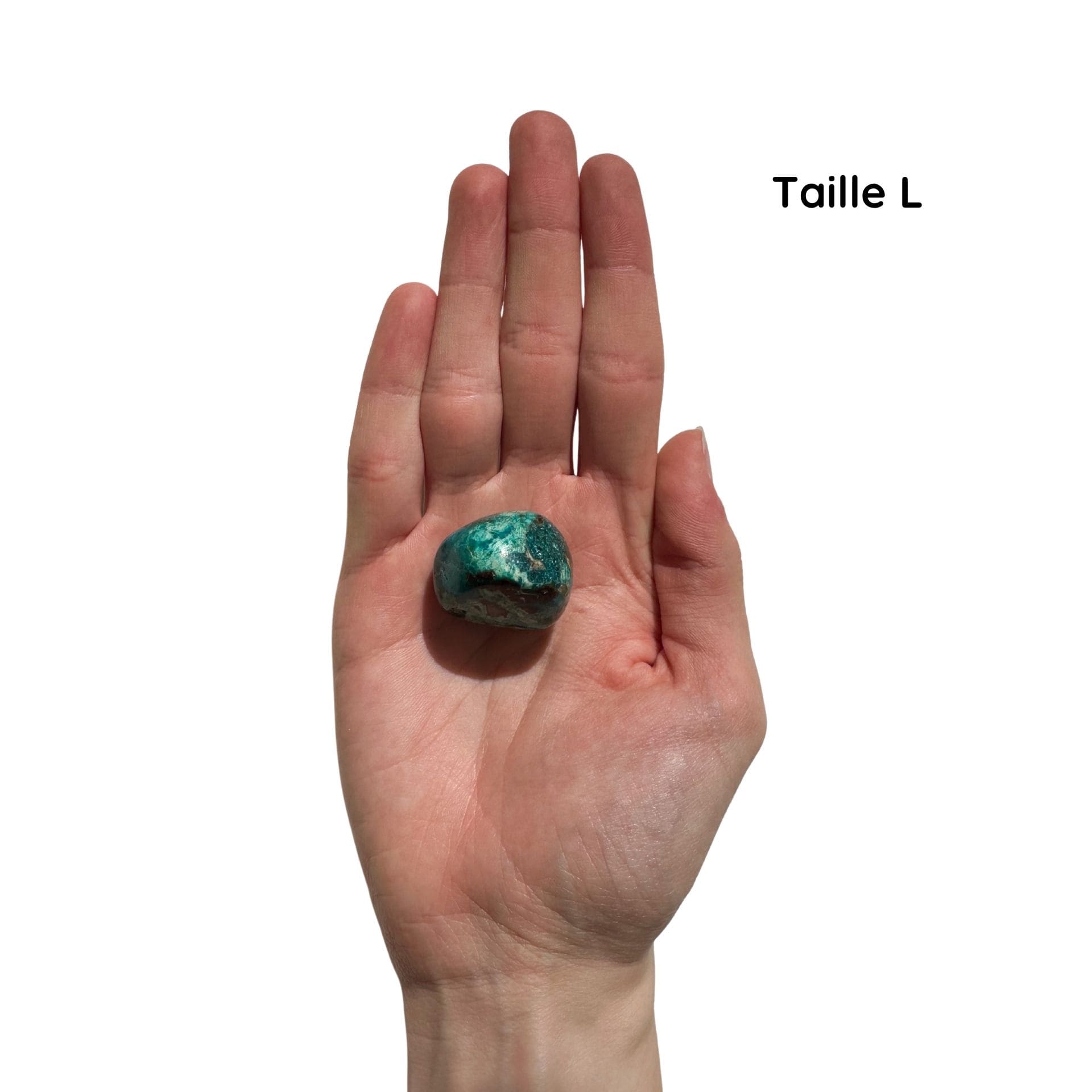 Chrysocolle taille L