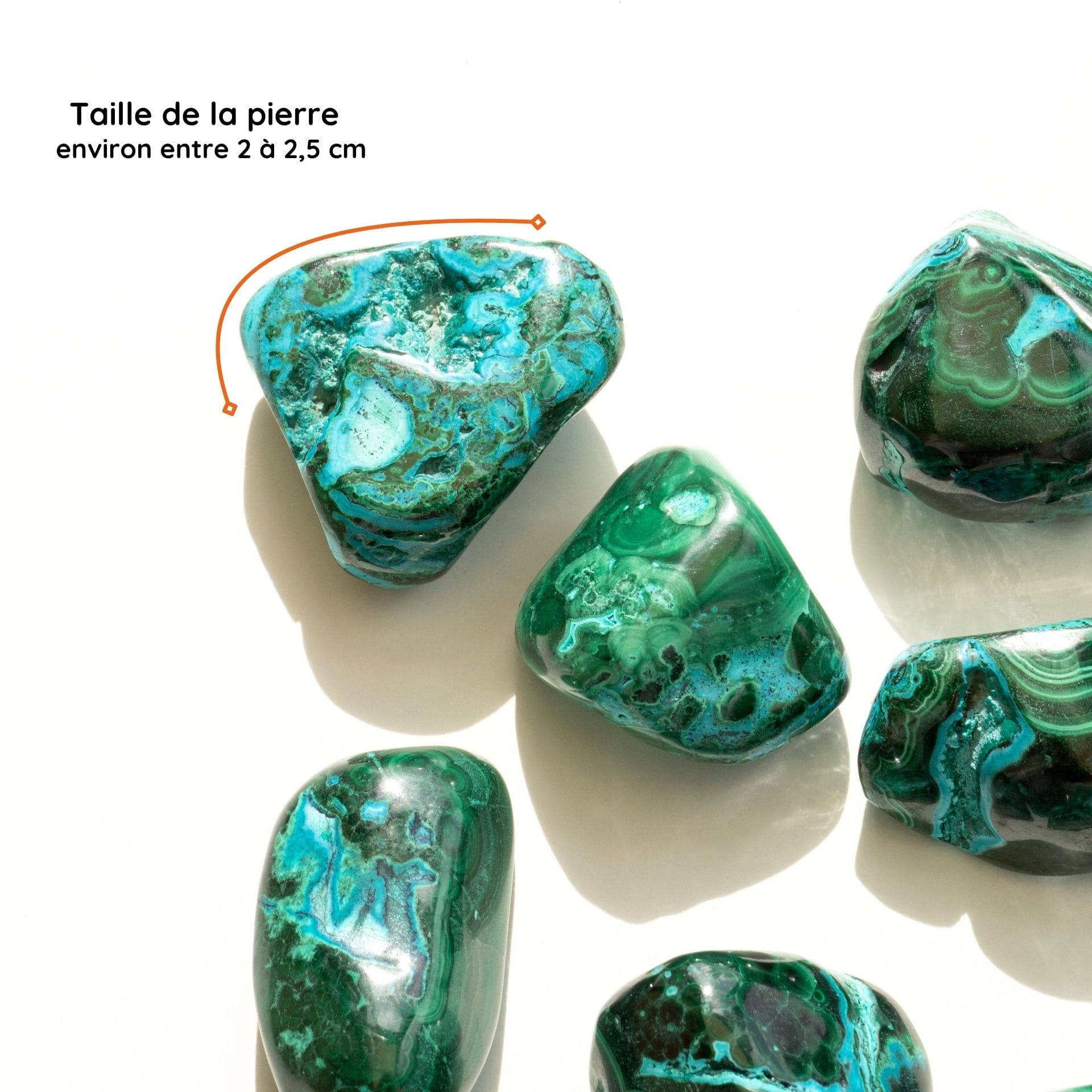 Chrysocolle Malachite taille 