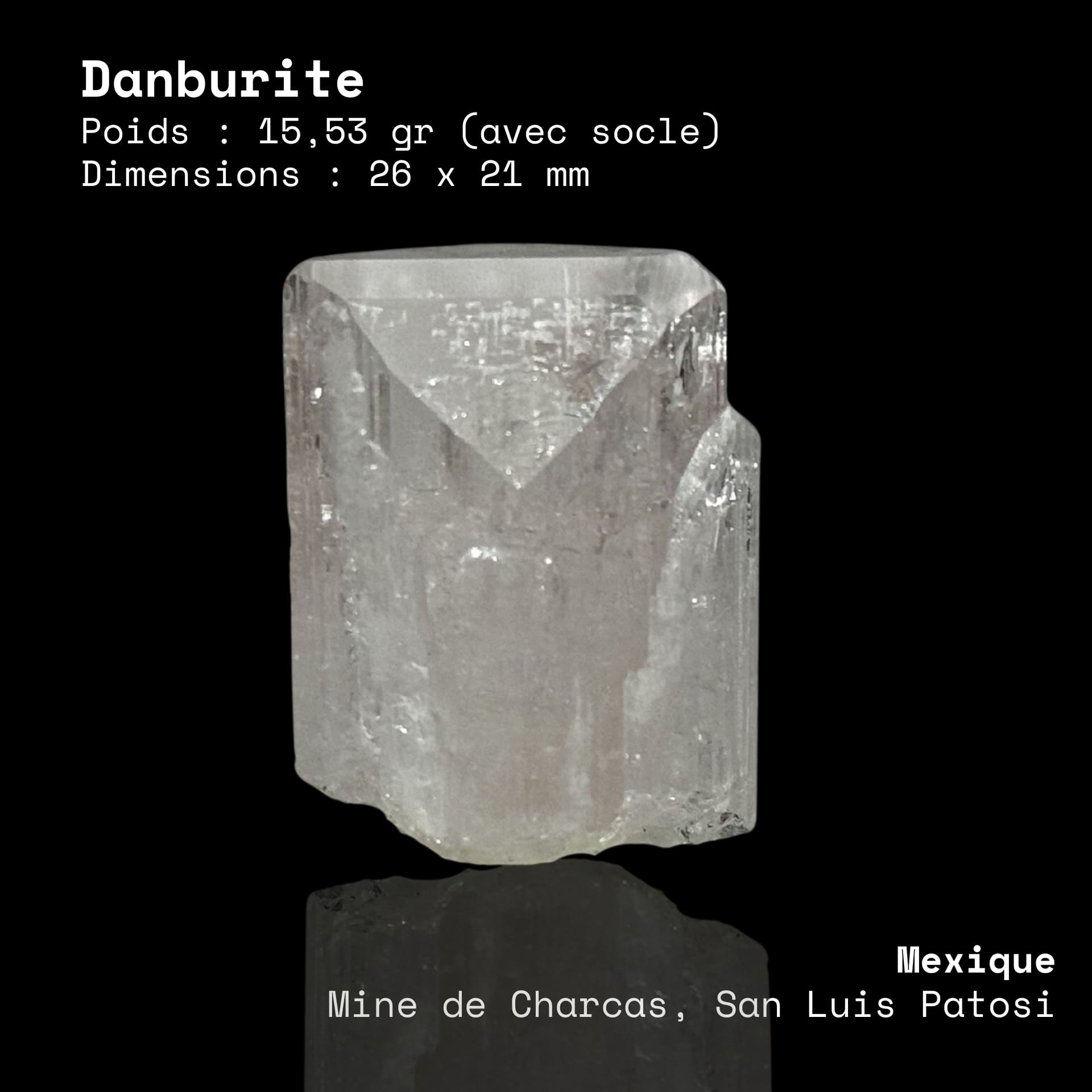 Danburite blanche rosée - San Luis Potosí (Mexique)
