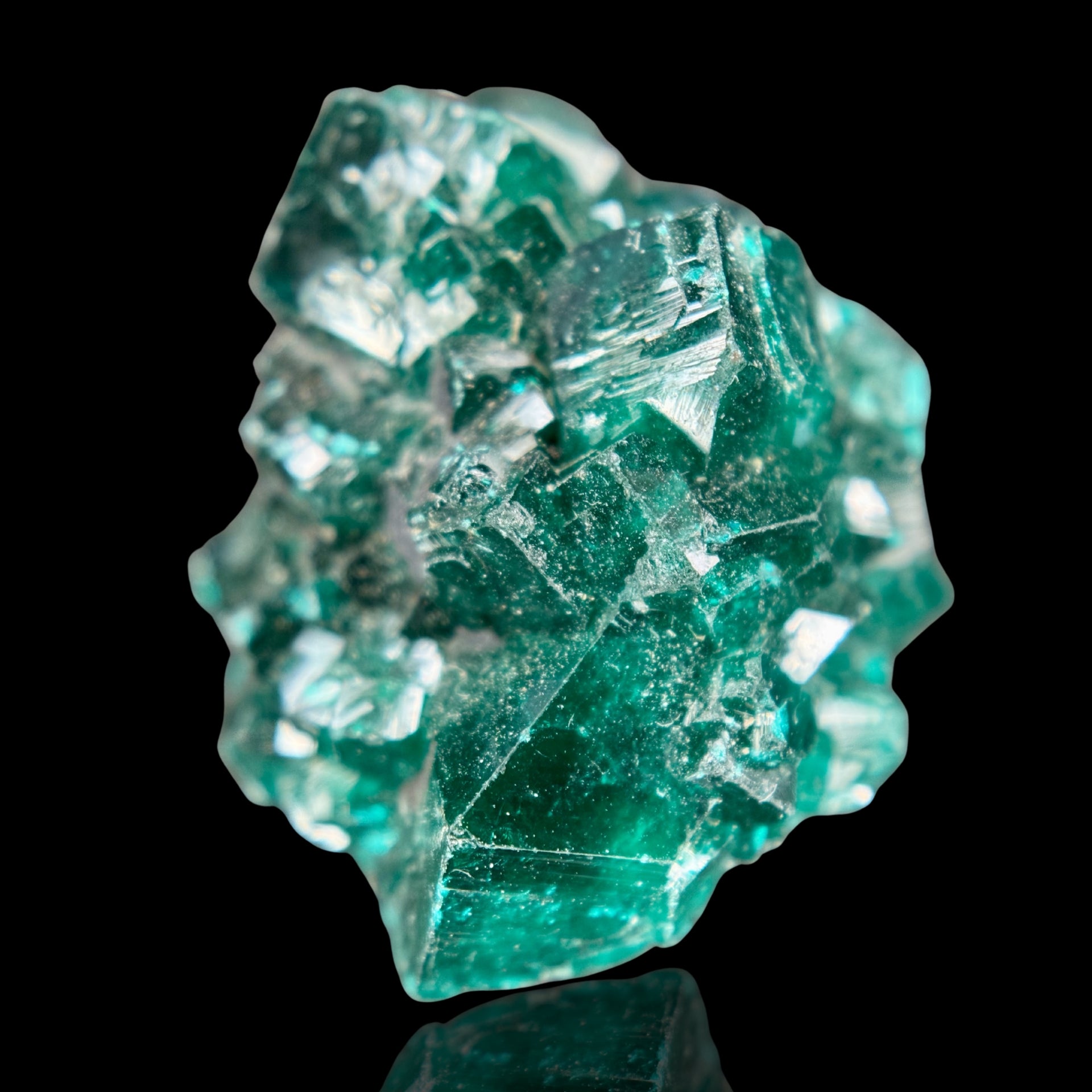 Dioptase Verte Émeraude 16,14gr  - Mashamba West (RD Congo)