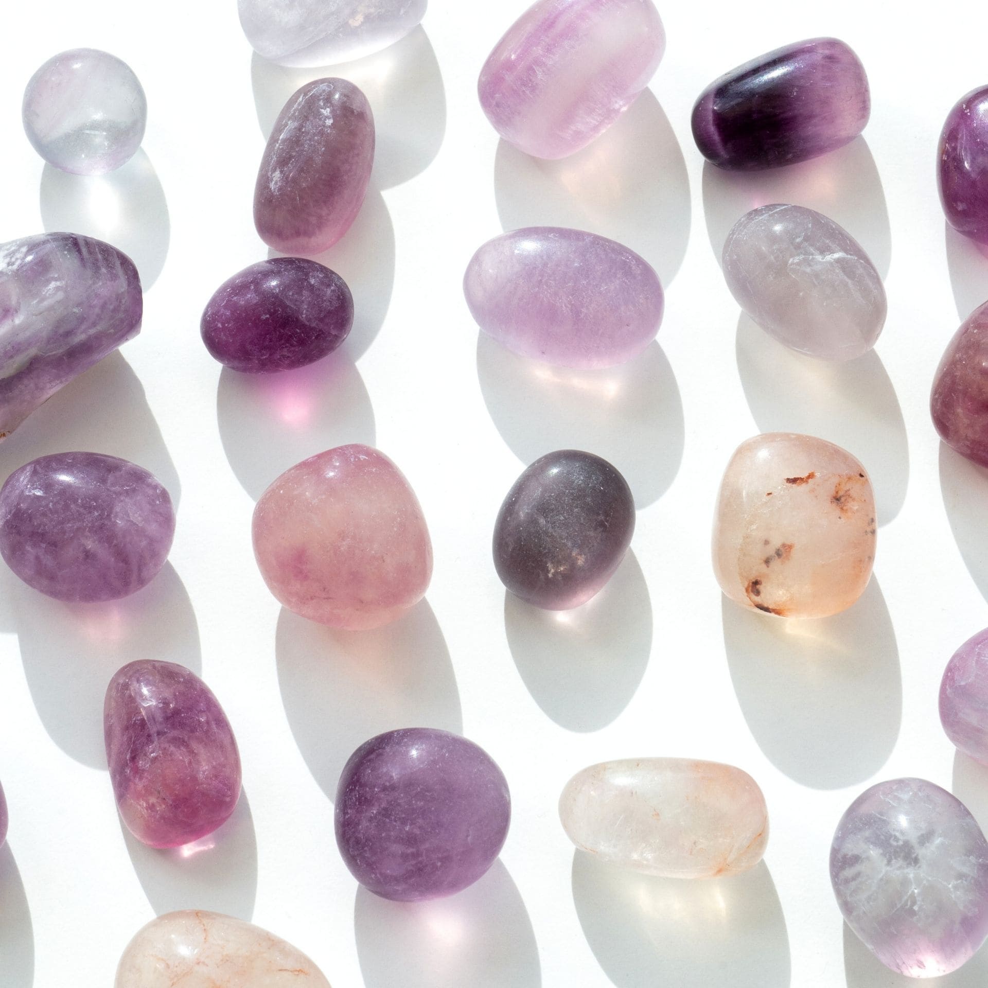 Fluorine violette zoom