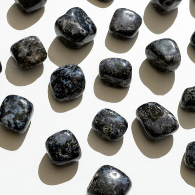 Gabbro zoom 