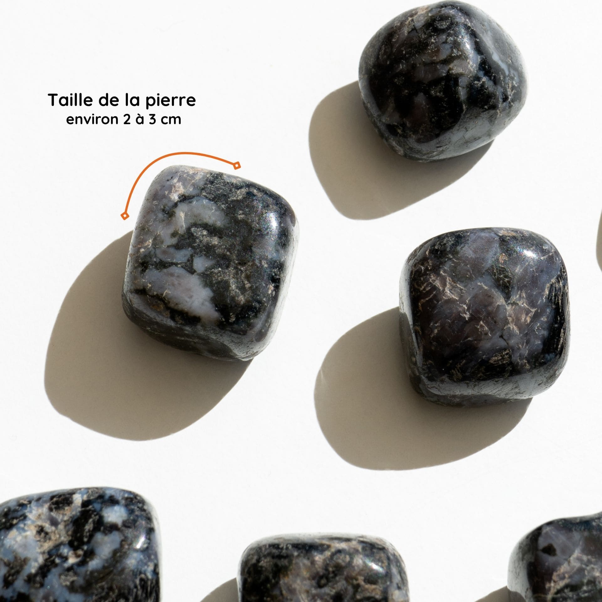 Gabbro taille
