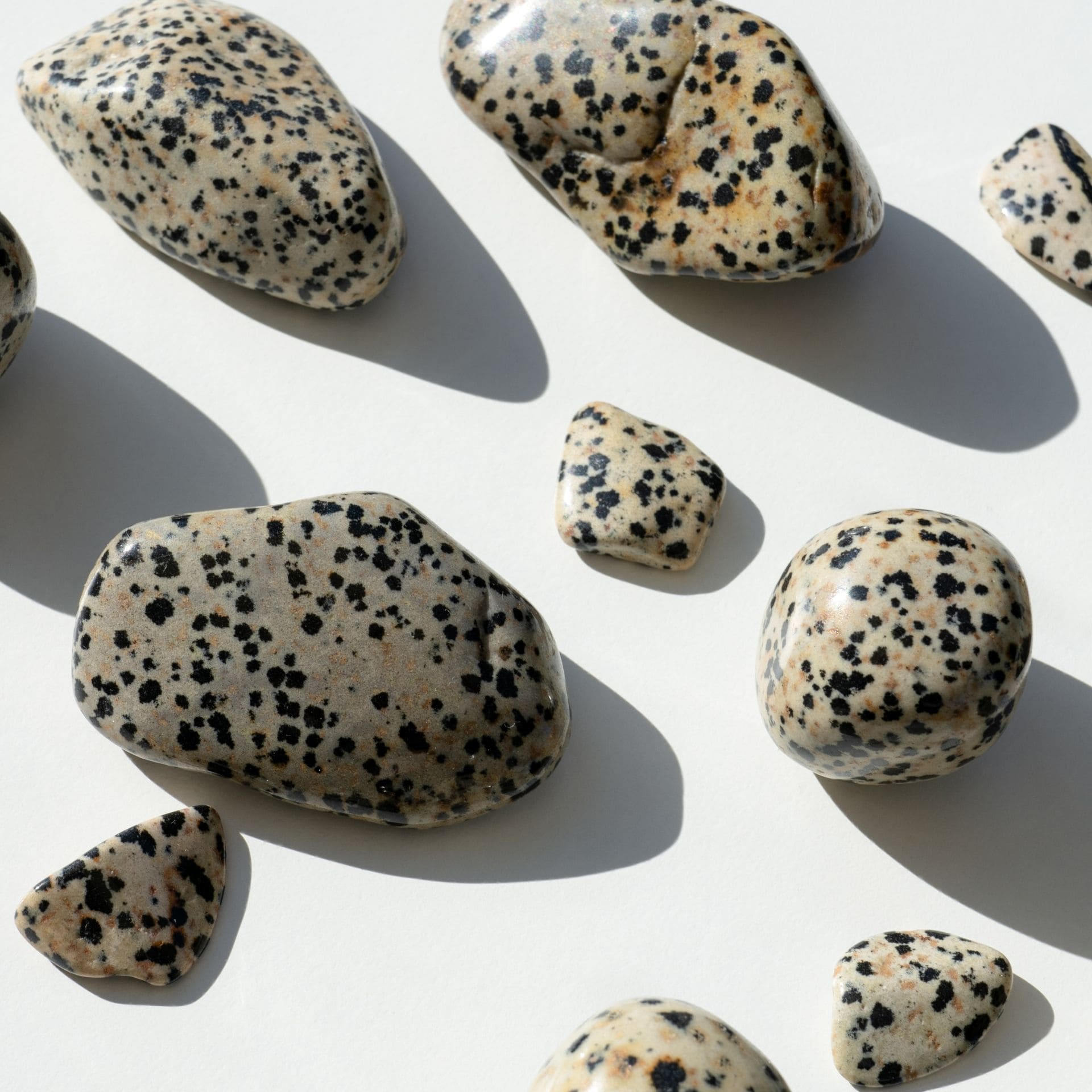 Jaspe Dalmatien zoom