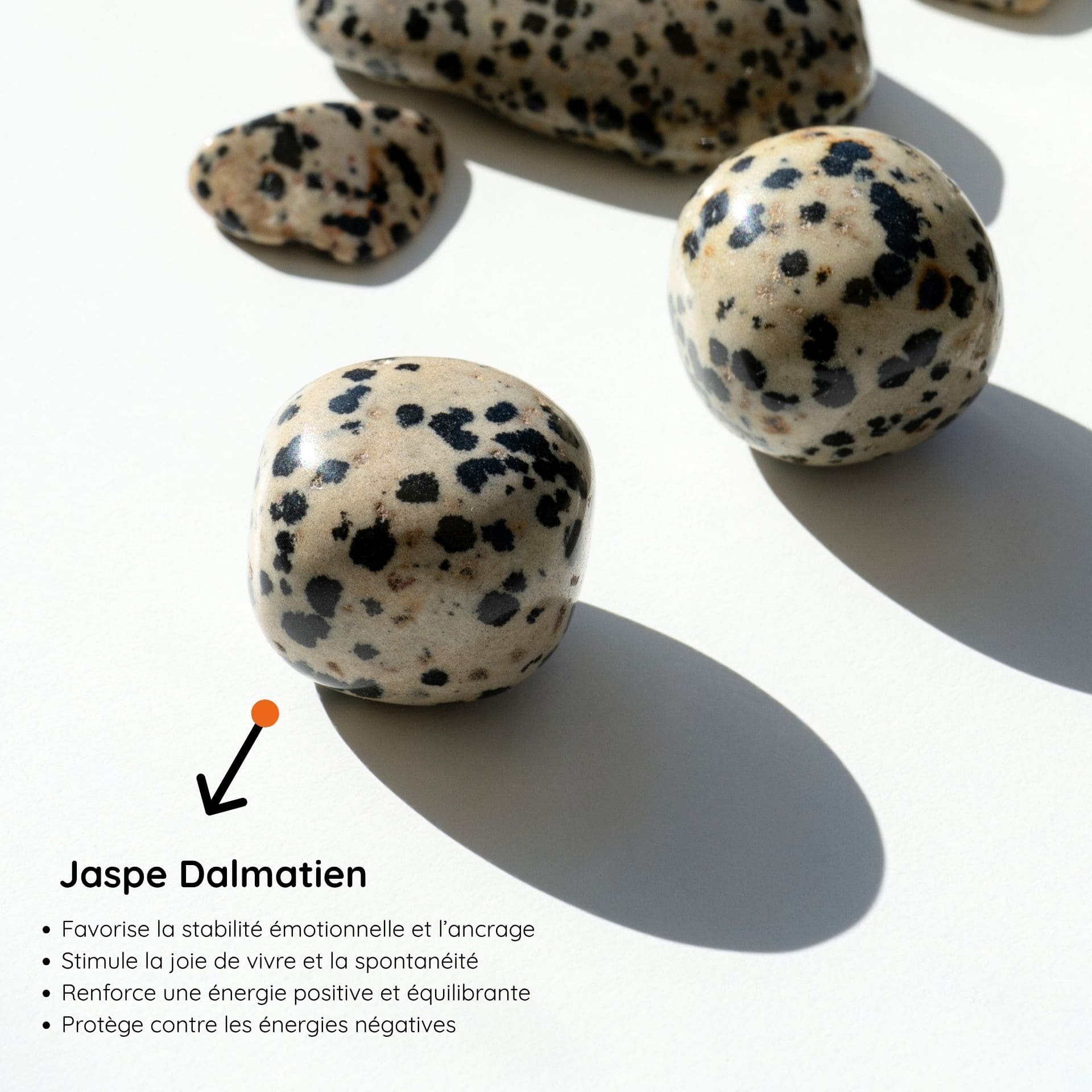 Jaspe Dalmatien vertus