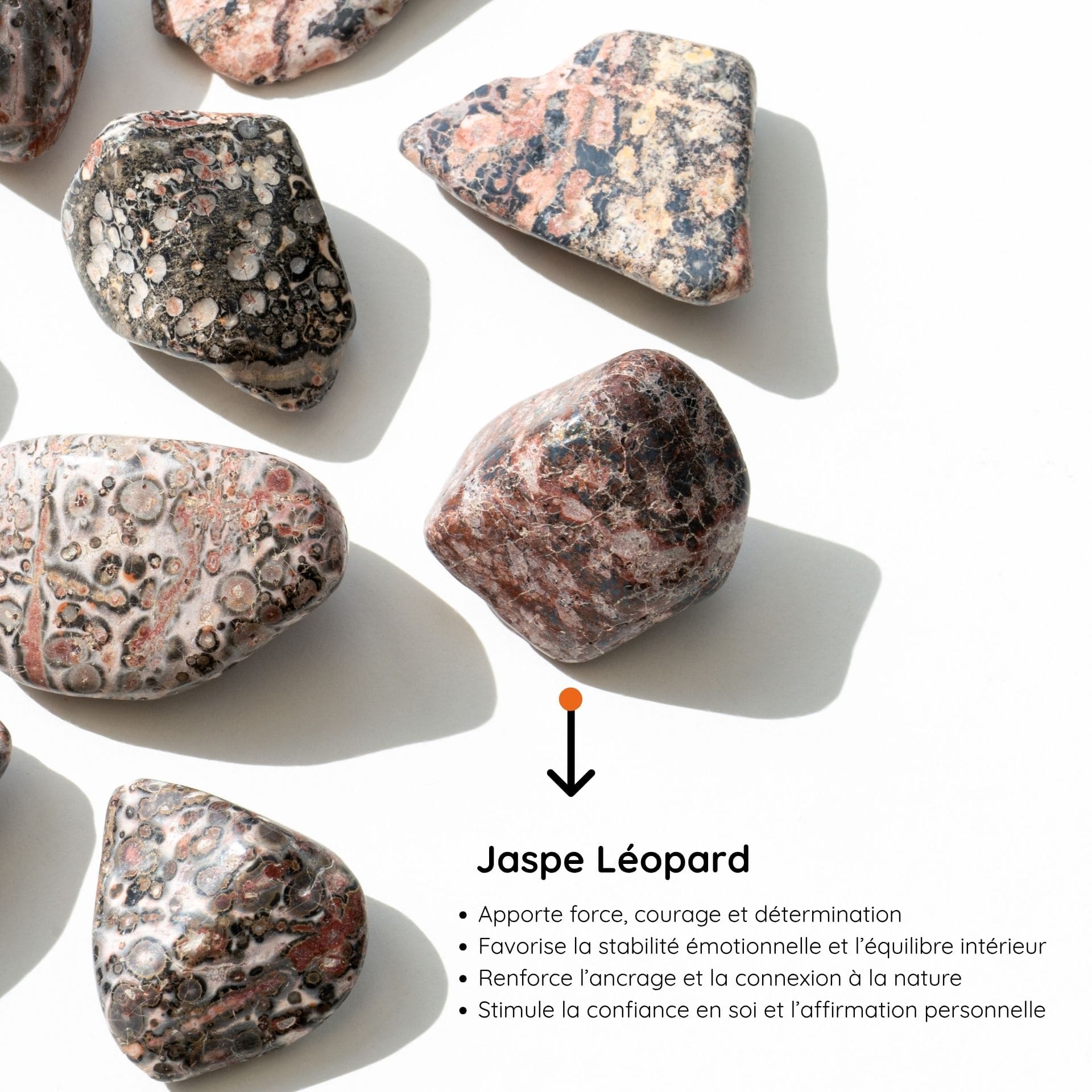 Jaspe Leopard vertus