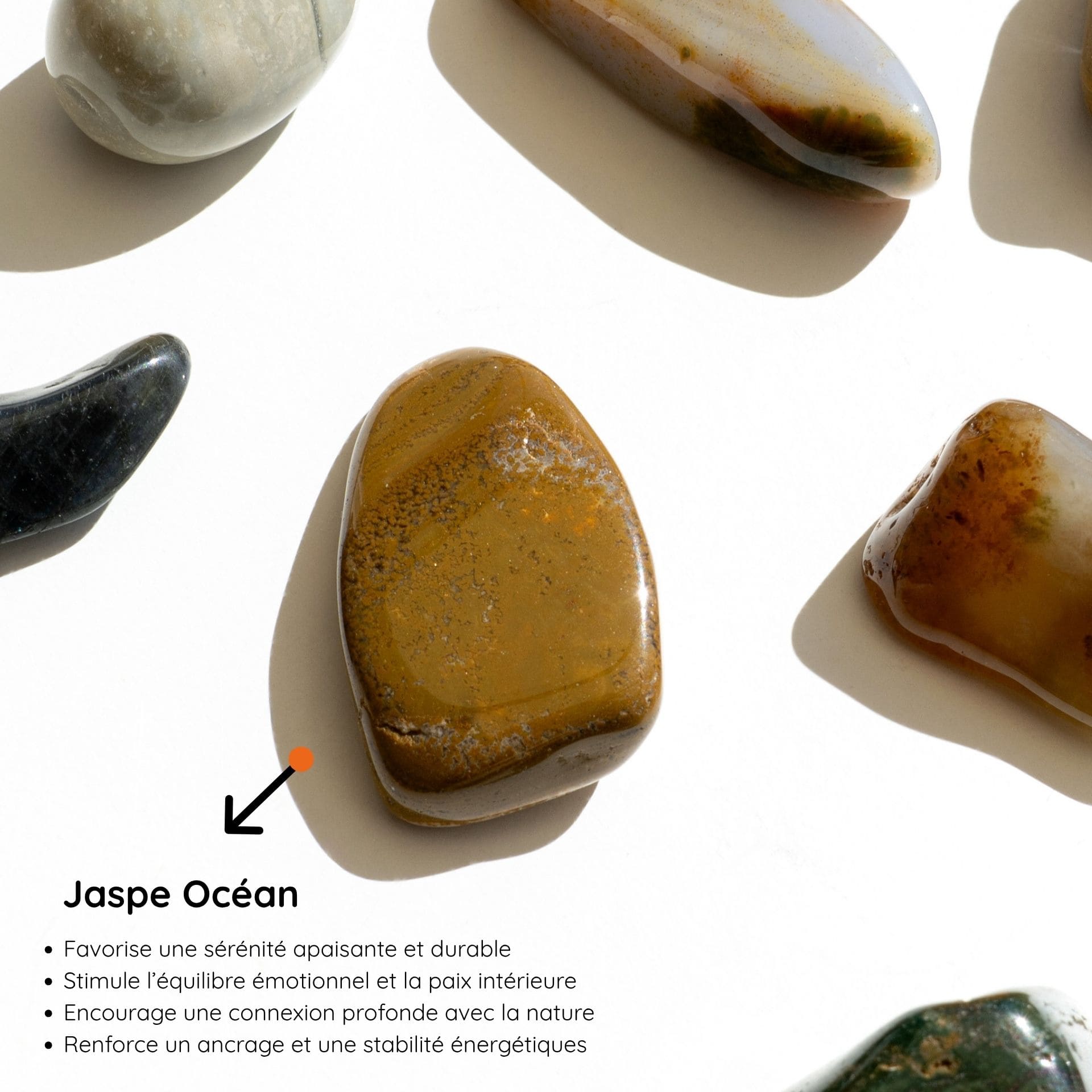 Jaspe Ocean vertus