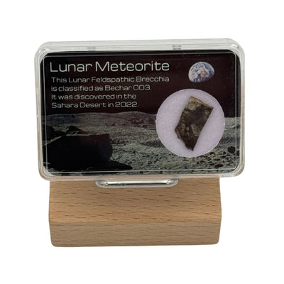 Fragment de Météorite Lunaire - Bechar 003 (Brèche)