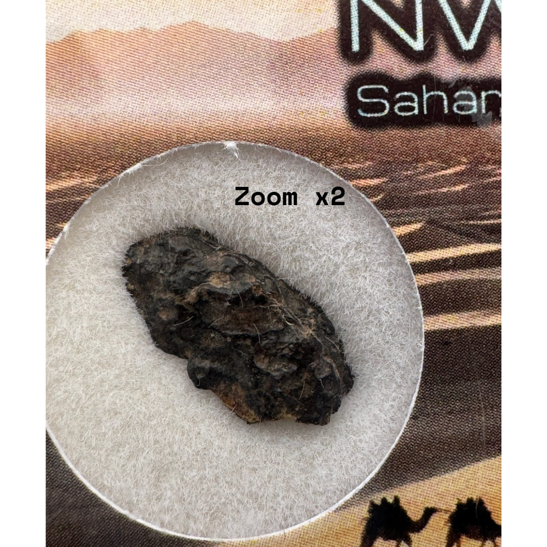 Météorite NWA 14346 - Chondrite Carbonée (CVox3)